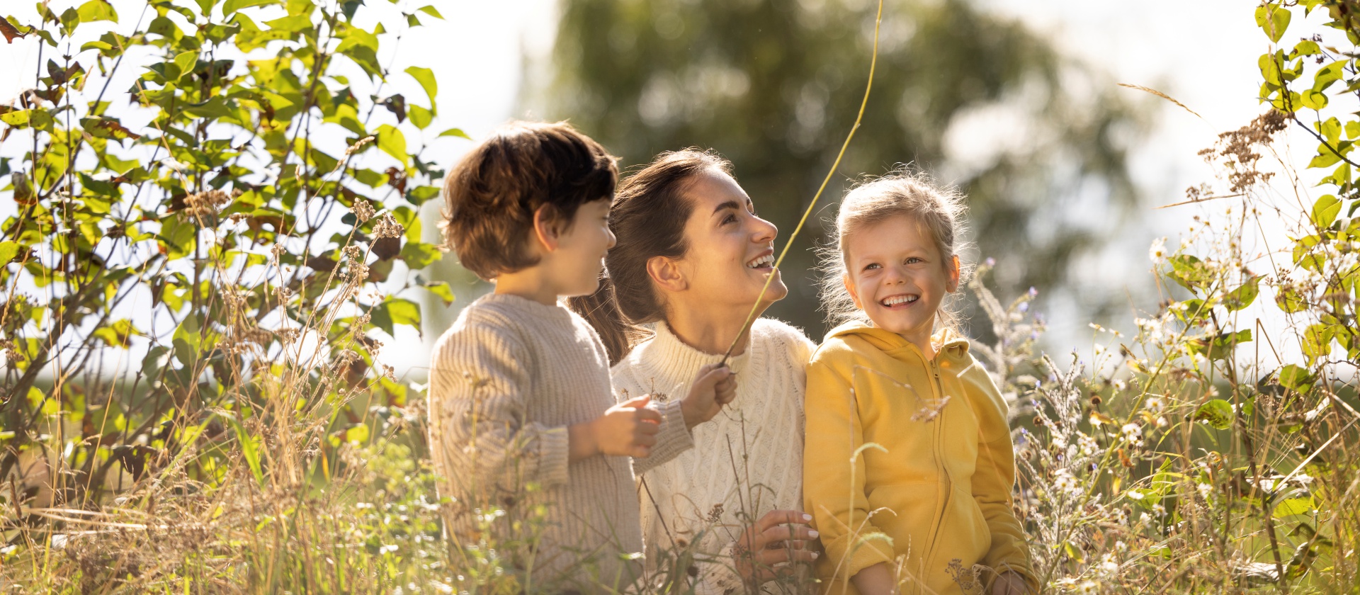 &Ouml;koFEN Metall & Heiztechnik GmbH